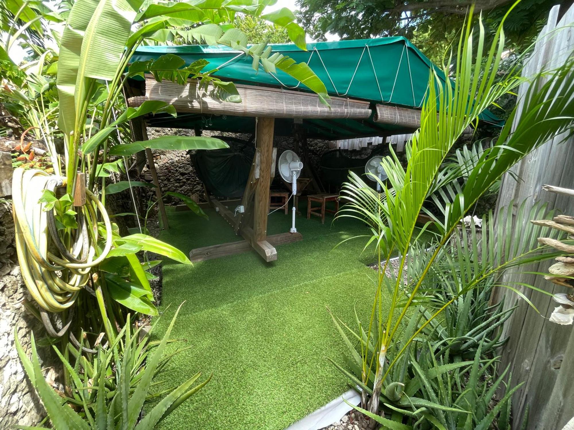 Les Hamacs Aux Saintes Hotel Terre-De-Haut Exterior photo